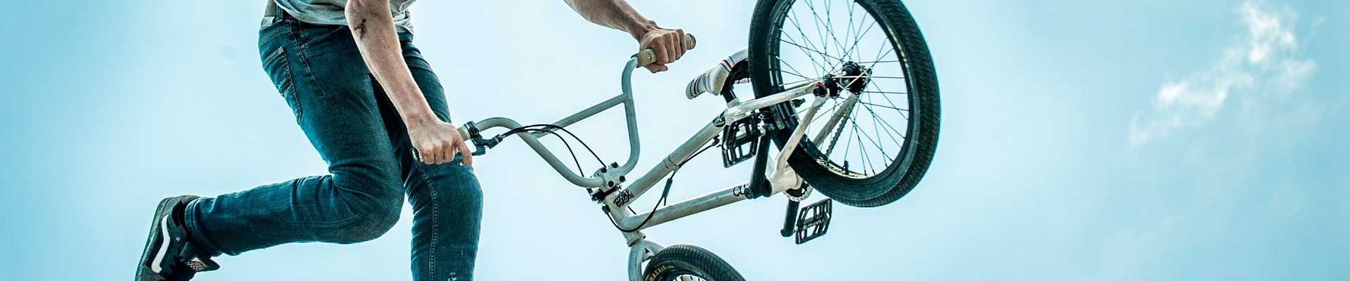 Bicicletas BMX | Comprar en Pelin Bicicletas